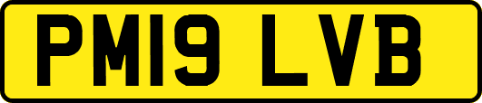 PM19LVB