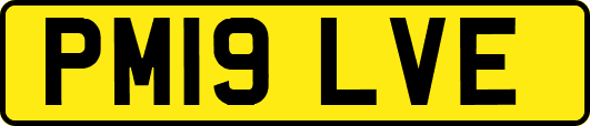 PM19LVE