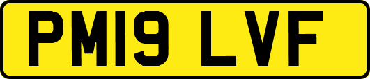 PM19LVF