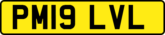 PM19LVL