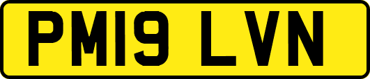 PM19LVN