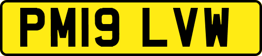 PM19LVW