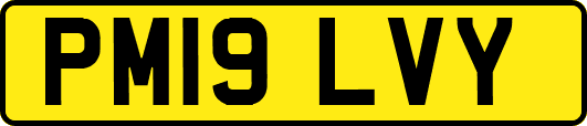 PM19LVY