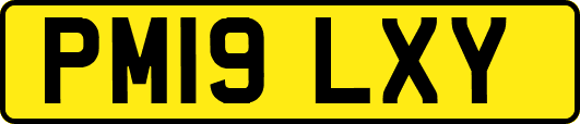 PM19LXY