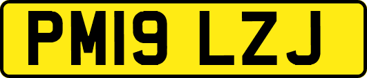 PM19LZJ