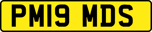 PM19MDS