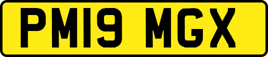 PM19MGX