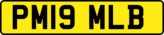 PM19MLB