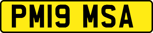 PM19MSA