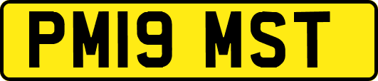 PM19MST