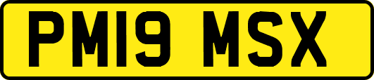 PM19MSX