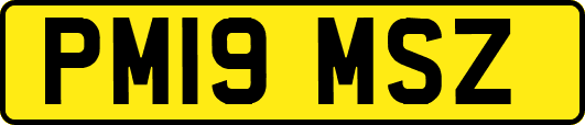 PM19MSZ