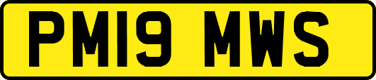 PM19MWS