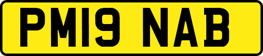 PM19NAB