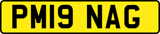 PM19NAG