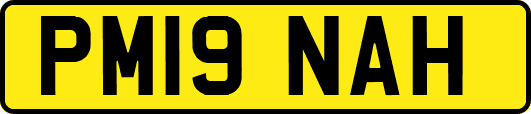 PM19NAH