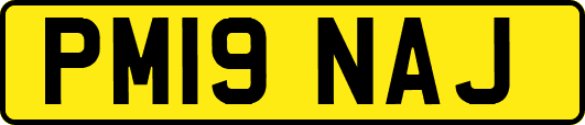 PM19NAJ