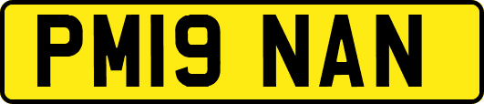 PM19NAN