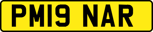 PM19NAR