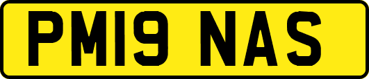 PM19NAS