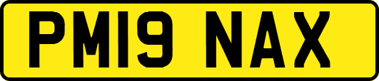 PM19NAX