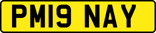 PM19NAY