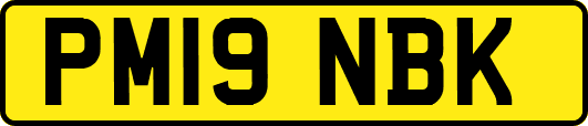 PM19NBK