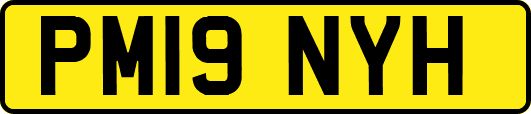 PM19NYH