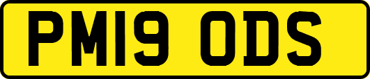 PM19ODS