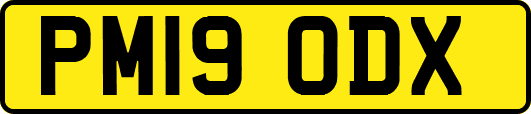 PM19ODX