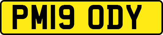 PM19ODY