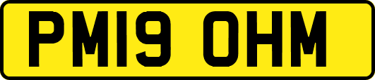 PM19OHM