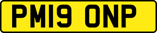 PM19ONP