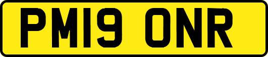 PM19ONR