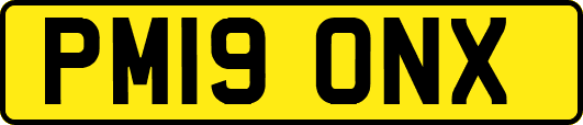 PM19ONX