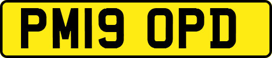 PM19OPD