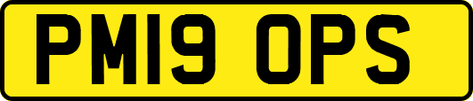 PM19OPS