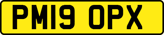 PM19OPX