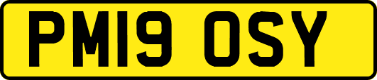 PM19OSY