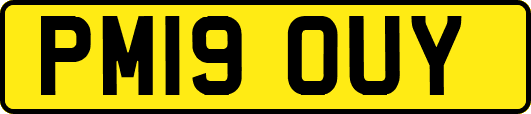 PM19OUY