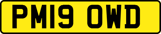 PM19OWD