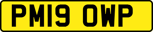 PM19OWP