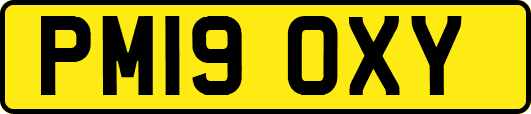 PM19OXY