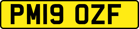 PM19OZF