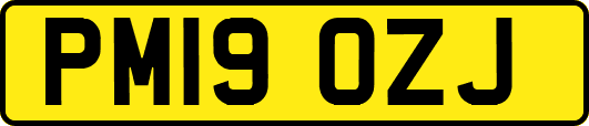 PM19OZJ