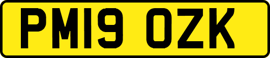 PM19OZK