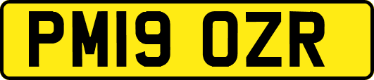 PM19OZR