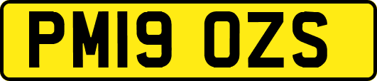 PM19OZS