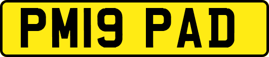 PM19PAD