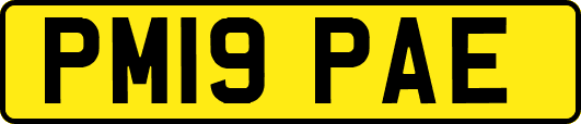 PM19PAE